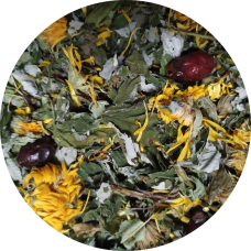 Травяний збір №10 (мочегінний)  0.1 кг.