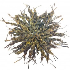 Шен Пуер в косичках